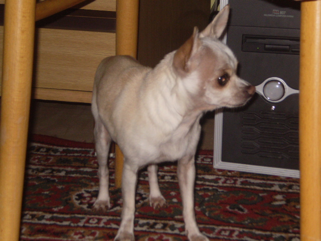 Obrázok 001.jpg